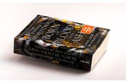 Jennifer L. Armentrout: Born of Blood and Ash - Eine Liebe im Schatten - Taschenbuch