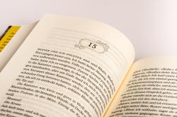 Jennifer L. Armentrout: Born of Blood and Ash - Eine Liebe im Schatten - Taschenbuch