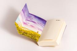 Manuela Inusa: Blumenmeere - Taschenbuch