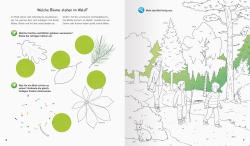 Wieso? Weshalb? Warum? aktiv-Heft: Wald - Taschenbuch