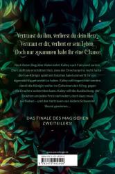 Sandra Grauer: Flame & Arrow, Band 2: Elfenkriegerin - gebunden