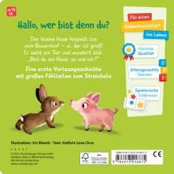 Kathrin Lena Orso: Mein erstes Vorlese-Fühlbuch: Bist du ein Hase?