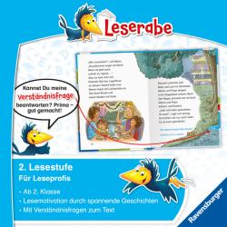 Susan Niessen: Unsere verrückten Camping-Ferien - lesen lernen mit dem Leseraben - Erstlesebuch - Kinderbuch ab 7 Jahren - lesen üben 2. Klasse (Leserabe 2. Klasse) - gebunden