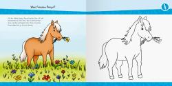 Wieso? Weshalb? Warum? junior AKTIV: Auf dem Ponyhof - Taschenbuch