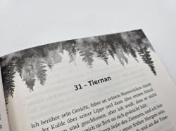 Penelope Douglas: Credence - Sie ist tabu, doch Liebe kennt keine Regeln - Taschenbuch