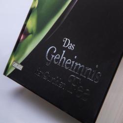 Walt Disney: Disney Villains 4: Das Geheimnis der Dunklen Fee - gebunden