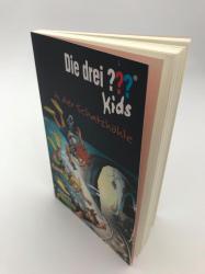 Boris Pfeiffer: Die drei ??? Kids 64: In der Schatzhöhle - Taschenbuch