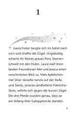 Linda Chapman: Sternenschweif 38: Freunde für immer - Taschenbuch