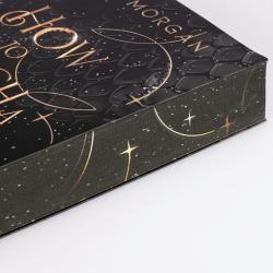 Buchcover mit dem Titel 'How to Catch a Magical Light'. Dunkler Hintergrund mit goldener Schrift und einem schimmernden Licht.