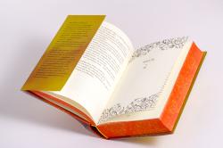 Tahereh Mafi: This Woven Kingdom - gebunden