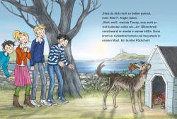 Enid Blyton: Fünf Freunde JUNIOR - Die verschwundenen Weihnachtspäckchen - gebunden