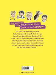 Enid Blyton: Fünf Freunde JUNIOR - Das Geburtstags-Abenteuer - gebunden