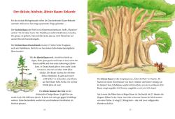 Ingo Siegner: Der kleine Drache Kokosnuss - Mein erstes Wald-Buch - gebunden