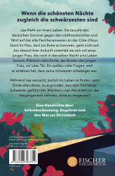 Anika Landsteiner: Nachts erzähle ich dir alles - Taschenbuch