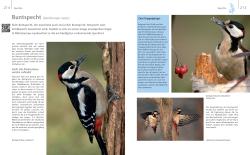 Buchcover mit dem Titel 'Vögel zu Gast im Garten'. Abbildungen von Vögeln und Nistkästen.