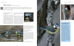 Buchcover mit dem Titel 'Vögel zu Gast im Garten'. Abbildungen von Vögeln und Nistkästen.