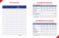 Haushaltsplaner - Taschenbuch