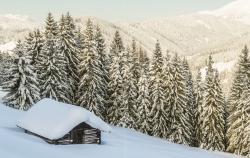 Johanna Maier: Mein Weihnachten - gebunden