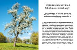 Erwin Palnstorfer: Das große kleine Buch: Obstbaumschnitt - gebunden