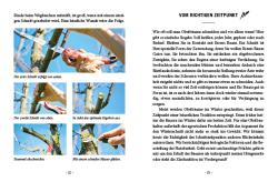 Erwin Palnstorfer: Das große kleine Buch: Obstbaumschnitt - gebunden