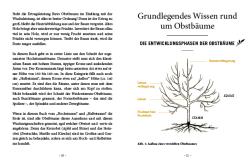 Erwin Palnstorfer: Das große kleine Buch: Obstbaumschnitt - gebunden