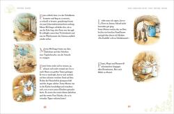 Buchcover von Beatrix Potter mit dem Titel 'Peter Hase'. Illustration eines Hasen im Garten mit einer Schaufel.