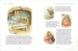 Buchcover von Beatrix Potter mit dem Titel 'Peter Hase'. Illustration eines Hasen im Garten mit einer Schaufel.