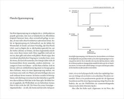 Ernst Peter Fischer: Schrödingers Katze auf dem Mandelbrotbaum. Die Schlüsselideen der großen Forscher - gebunden