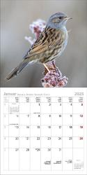 KORSCH Bildkalender Vögel 30 x 30 cm 2025