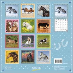 KORSCH Bildkalender Pferde 30 x 30 cm 2025