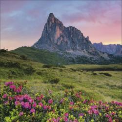 KORSCH Wandkalender Alpen 30 x 30 cm bunt 2026