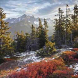 KORSCH Wandkalender Alpen 30 x 30 cm bunt 2026
