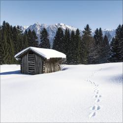 KORSCH Wandkalender Alpen 30 x 30 cm bunt 2026