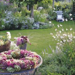 KORSCH Wandkalender Gartenträume 30 x 30 cm bunt 2026