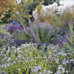 KORSCH Wandkalender Gartenträume 30 x 30 cm bunt 2026