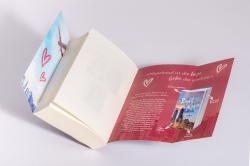 Liz Tomforde: Mile High - Taschenbuch