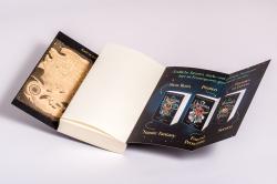 Tricia Levenseller: Vengeance of the Pirate Queen - Fürchte meine Rache - Taschenbuch