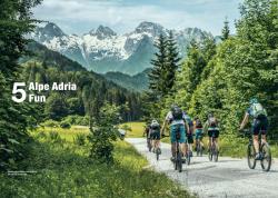 Anna Rink: Alpencross mit dem E-Bike - Taschenbuch