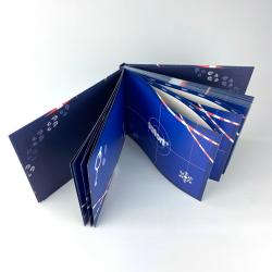 Buch mit dunkelblauer Covergestaltung, auf der weiße und rote Akzente sowie ein Schneeflockensymbol zu sehen sind. Das Cover zeigt das Wort 'frost' in weiß.