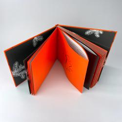 Offenes Buch mit schwarzen und orangefarbenen Seiten. Das Cover ist schwarz mit weißen Farnmustern, die Innenseiten sind orange mit einer einfachen Zeichnung.