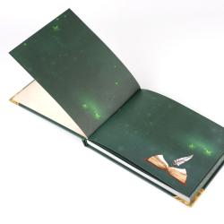 Offenes Buch mit bunten Illustrationen auf dunkelgrünem Hintergrund. Zwei Federn und ein Buchdeckel sind sichtbar.