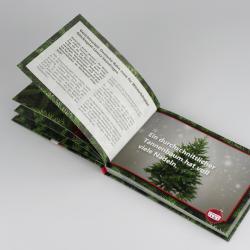 Offenes Buch mit Weihnachtsbaum auf der rechten Seite. Auf der linken Seite Text über Tannenbäume und Nadeln, festliche Gestaltung.