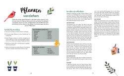 Zwei kleine Pflanzen in blauen Töpfen, grüne Blätter. Dekorative Illustration mit Blättern und einem kleinen Blümchen.