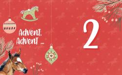 Weihnachtliches Design mit roten Hintergrund, Weihnachtskugeln, Tannenbaumzweigen, einem Pferdemotiv und einem großen weißen Zahlensymbol Zwei.