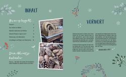 Buchcover mit grüner Hintergrundfarbe, dekorative winterliche Zweige, Schneeflocken und Beeren, zwei Fotos von Dekorationsmaterialien, Text in deutscher Sprache über Weihnachtsdeko und Adventskalender.