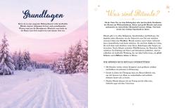 Winterlandschaft mit verschneiten Bäumen und einer Schneepiste. Der Himmel ist in sanften Pastellfarben gehalten.