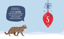 Jessica Lorente: Mein Adventskalender-Buch: Fröhliche Miaunachten - gebunden