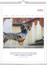 Literarischer Hunde - Kalender 2025