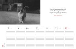 Tischkalender Katzen 2025