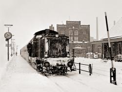 Johannes Wasmuth: Warburger Welt der Eisenbahn - gebunden